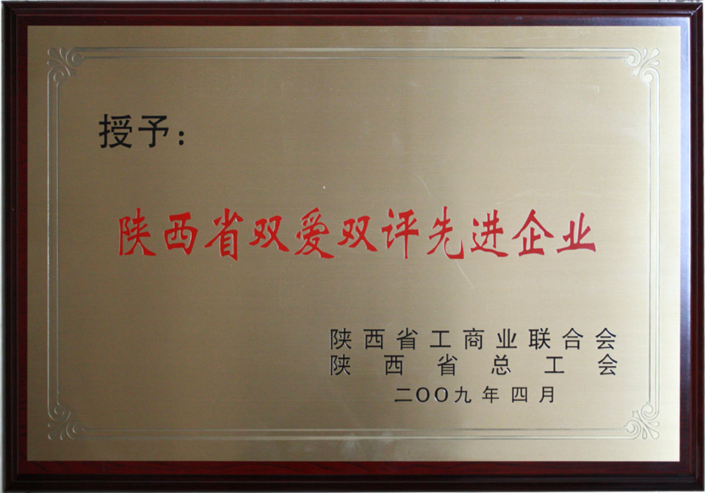 2009年陜西省雙愛雙評先進企業