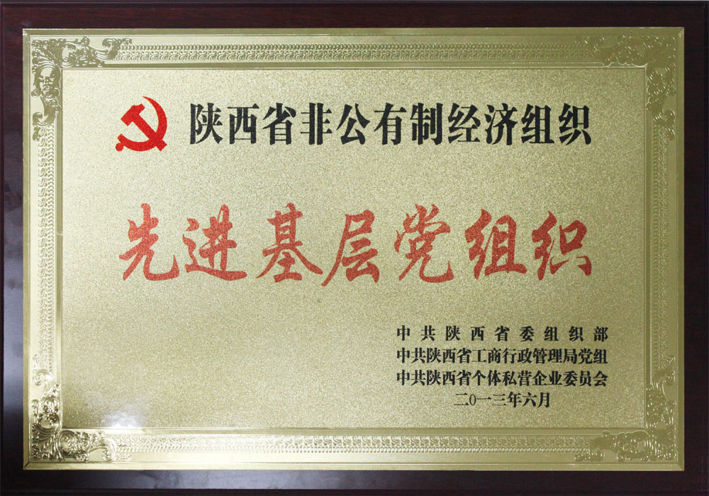 2013年陜西省先進基層黨組織